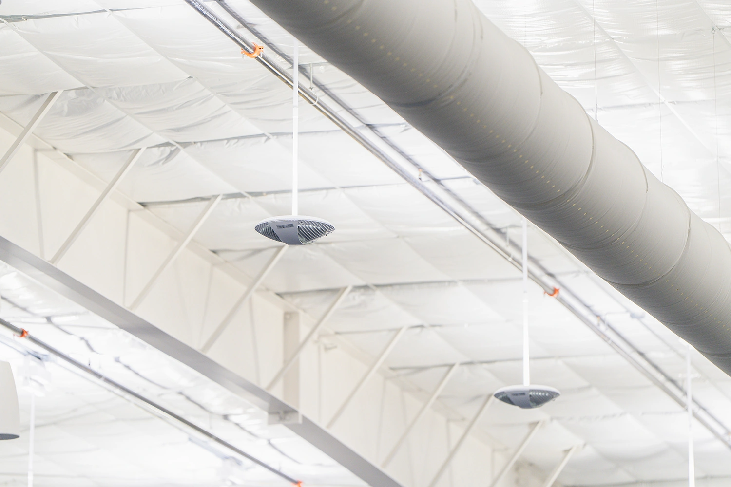 Lakewood Ranch Pickleball Club - Image 8