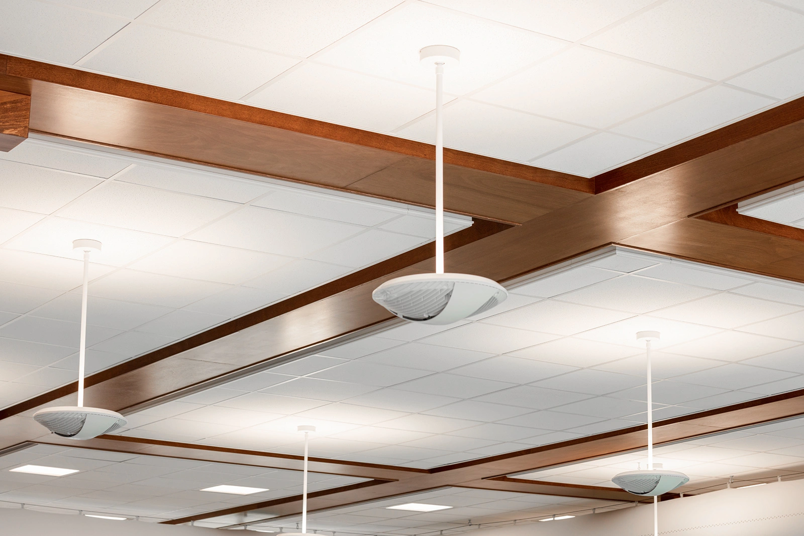 Cacapon Lodge Swimming Pool - Image 3