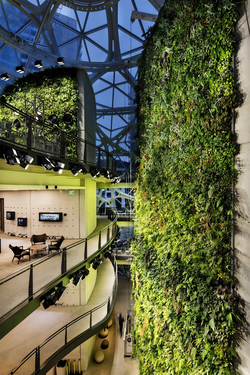 Amazon Spheres  - Image 6