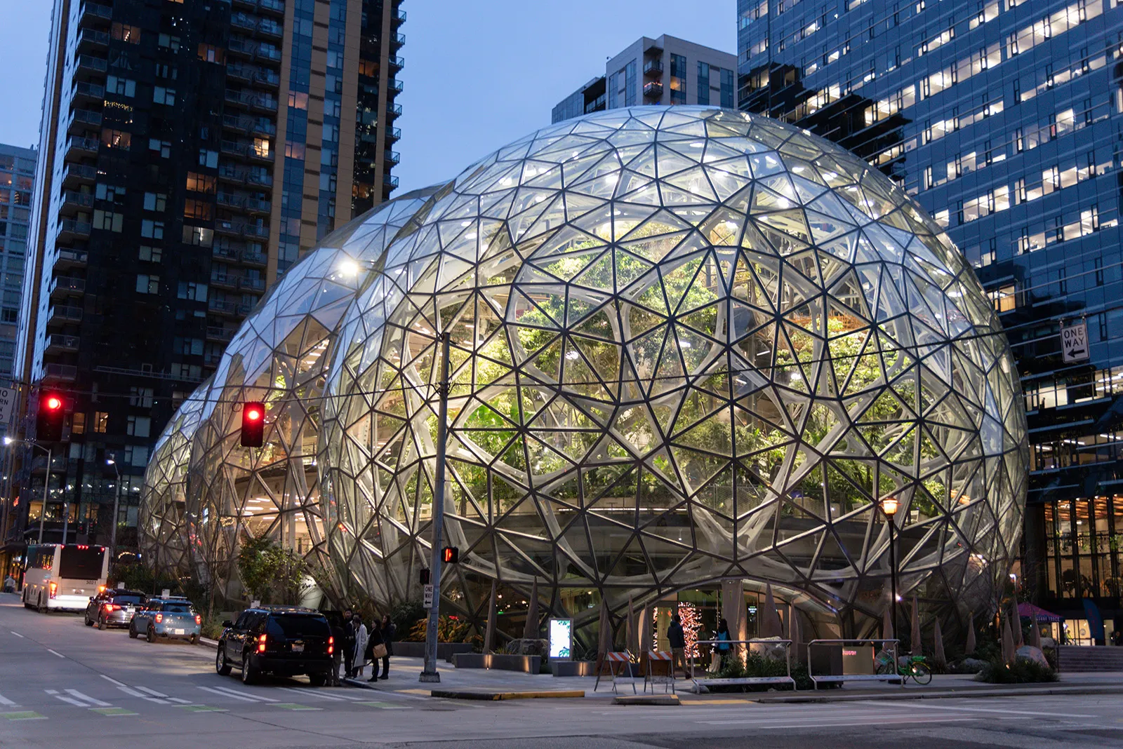 Amazon Spheres  - Image 5