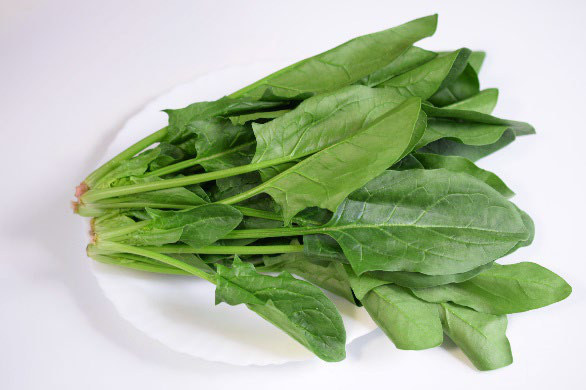 大葉菠菜