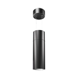 Duo 6