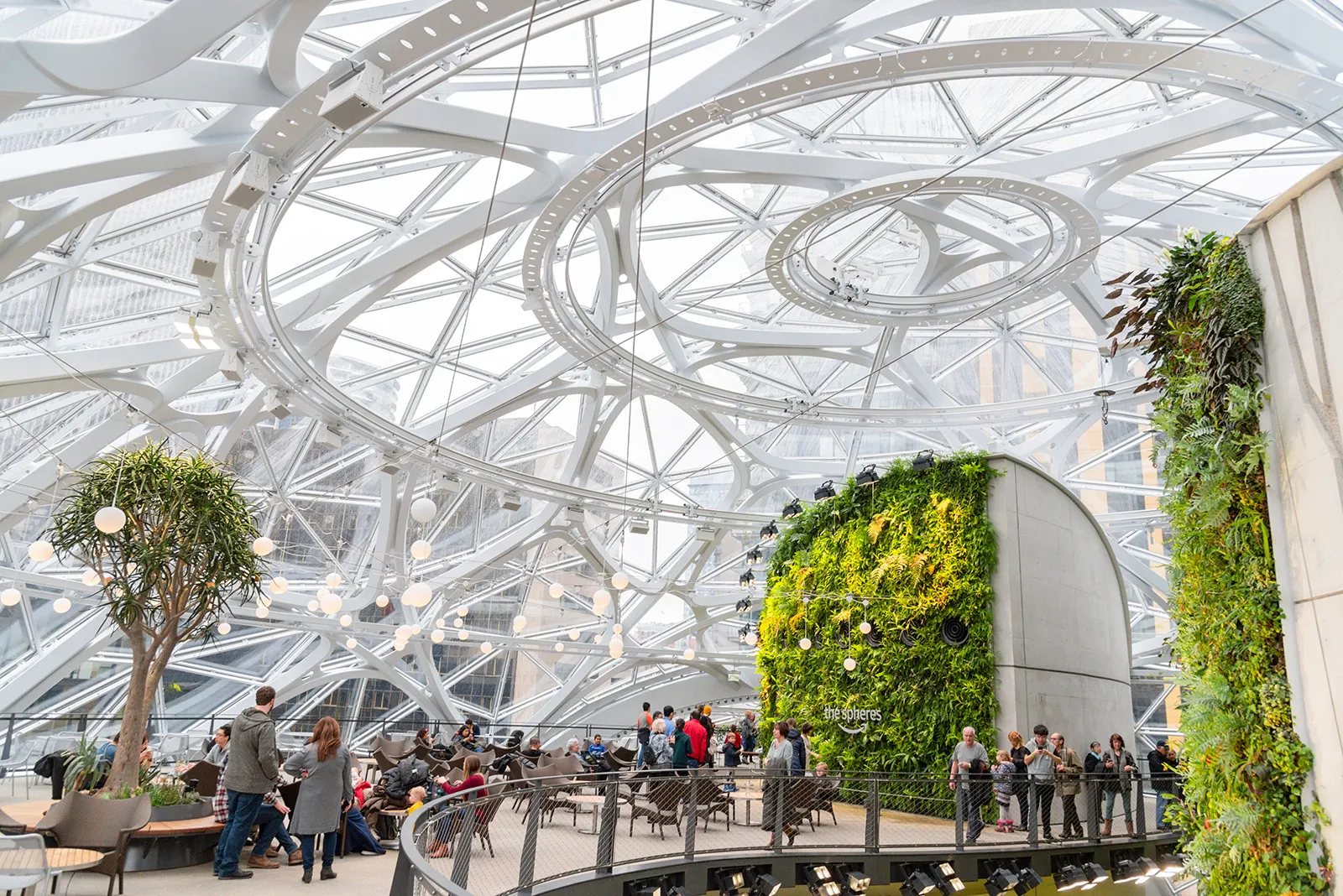 Amazon Spheres 