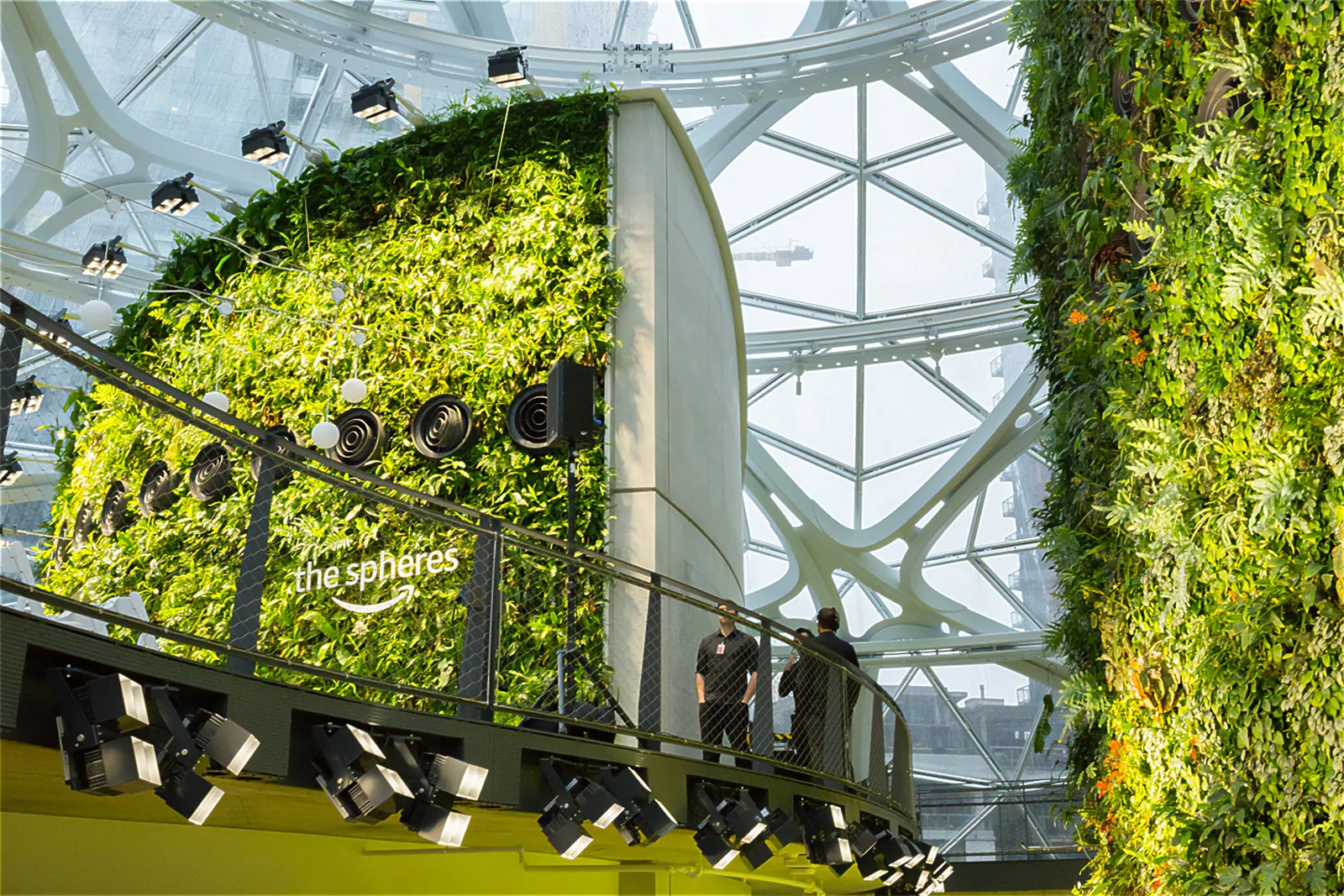 Amazon Spheres  - Image 3