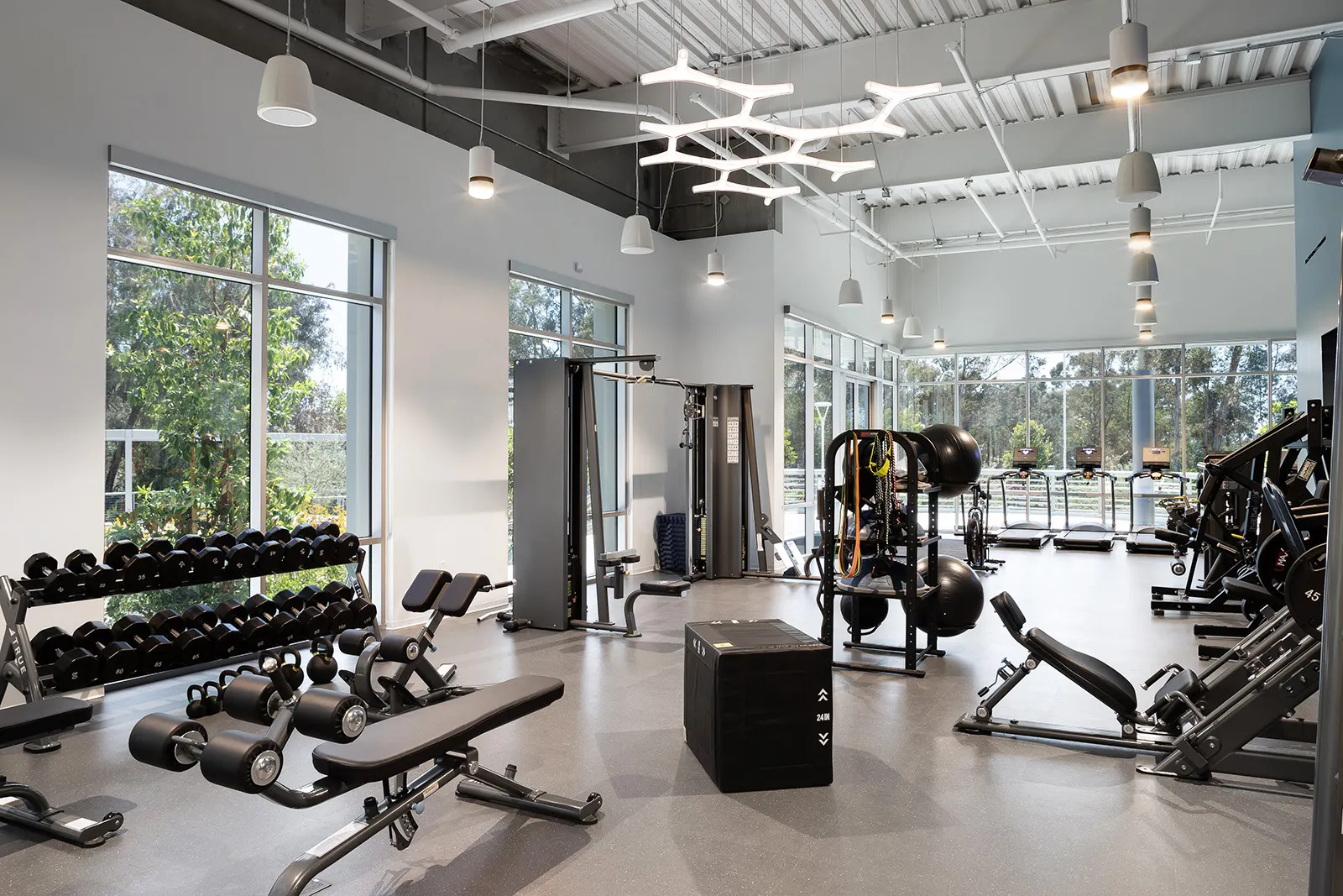 Arrowhead Pharmaceuticals - Image 2