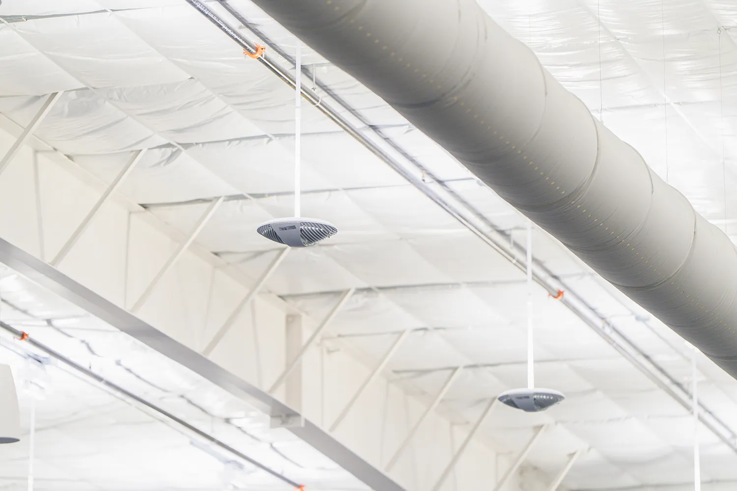 Lakewood Ranch Pickleball Club - Image 8