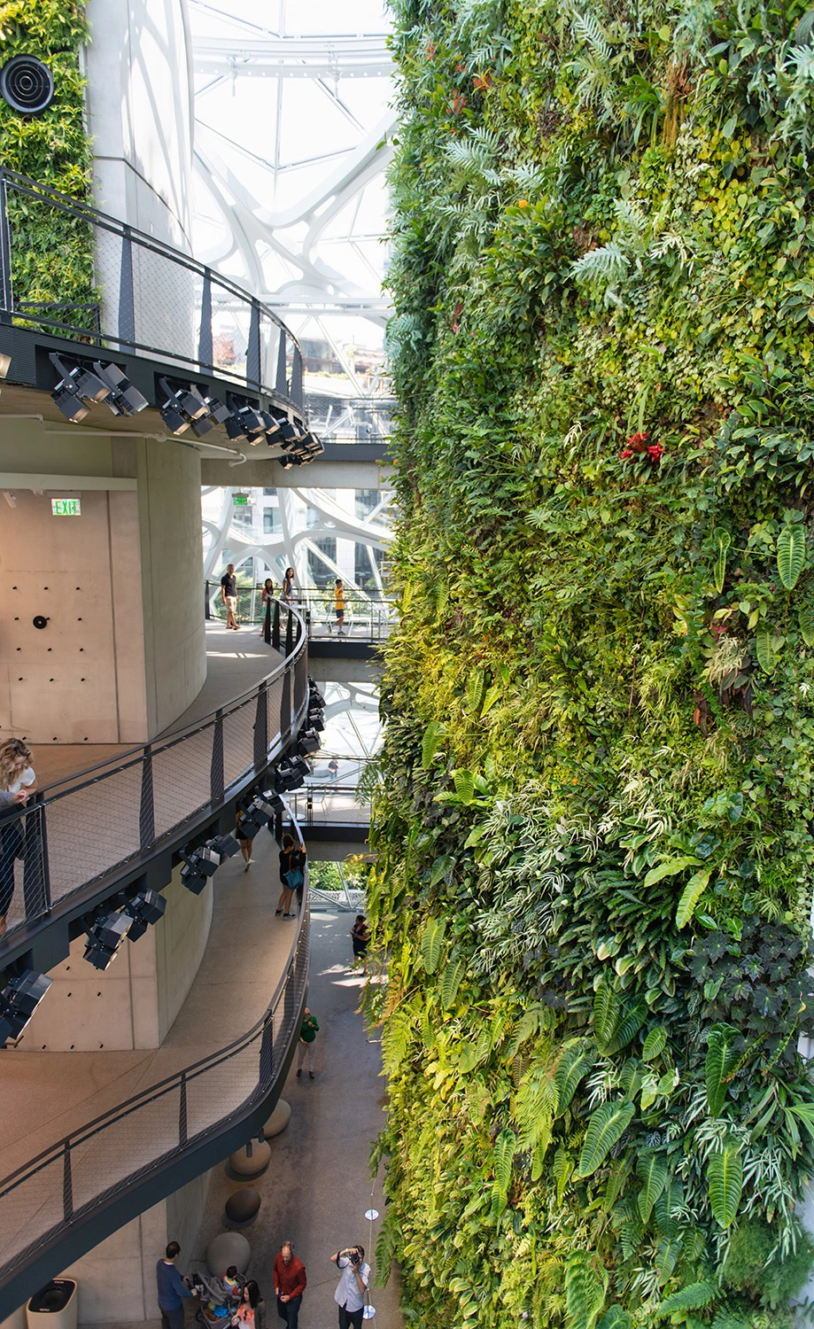 Amazon Spheres  - Image 4