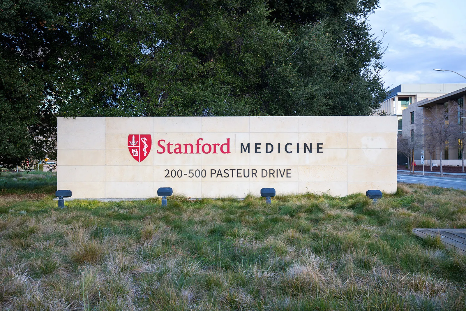 Stanford University, School of Medicine