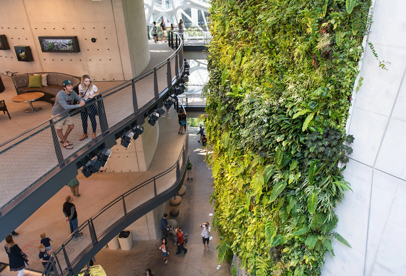 Amazon Spheres  - Image 2