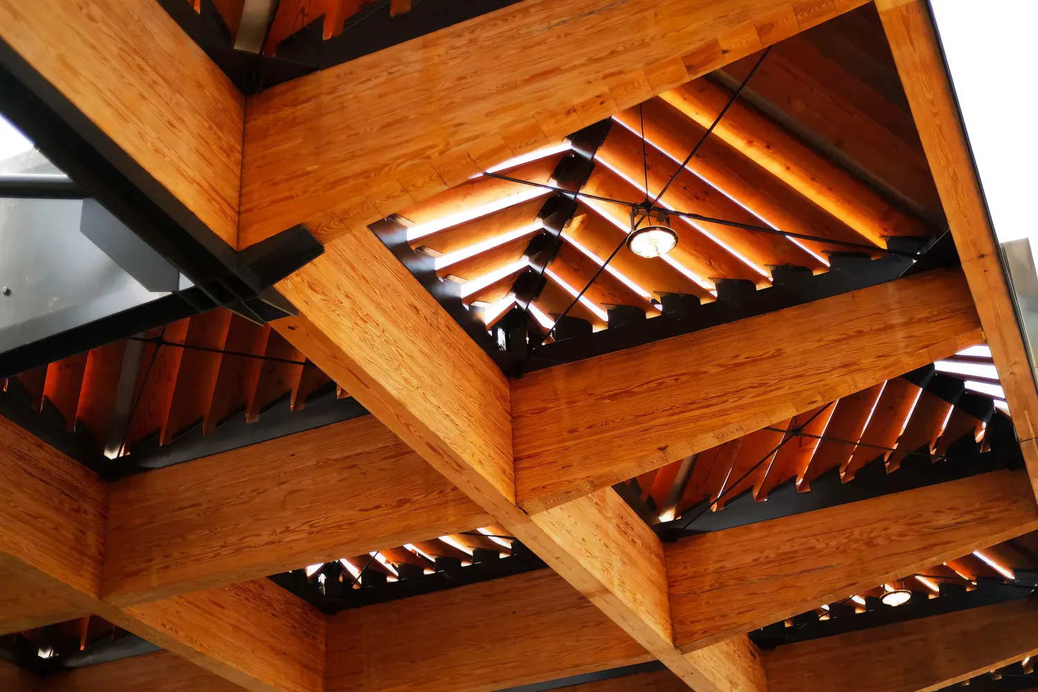 Tom Lee Park - Image 2