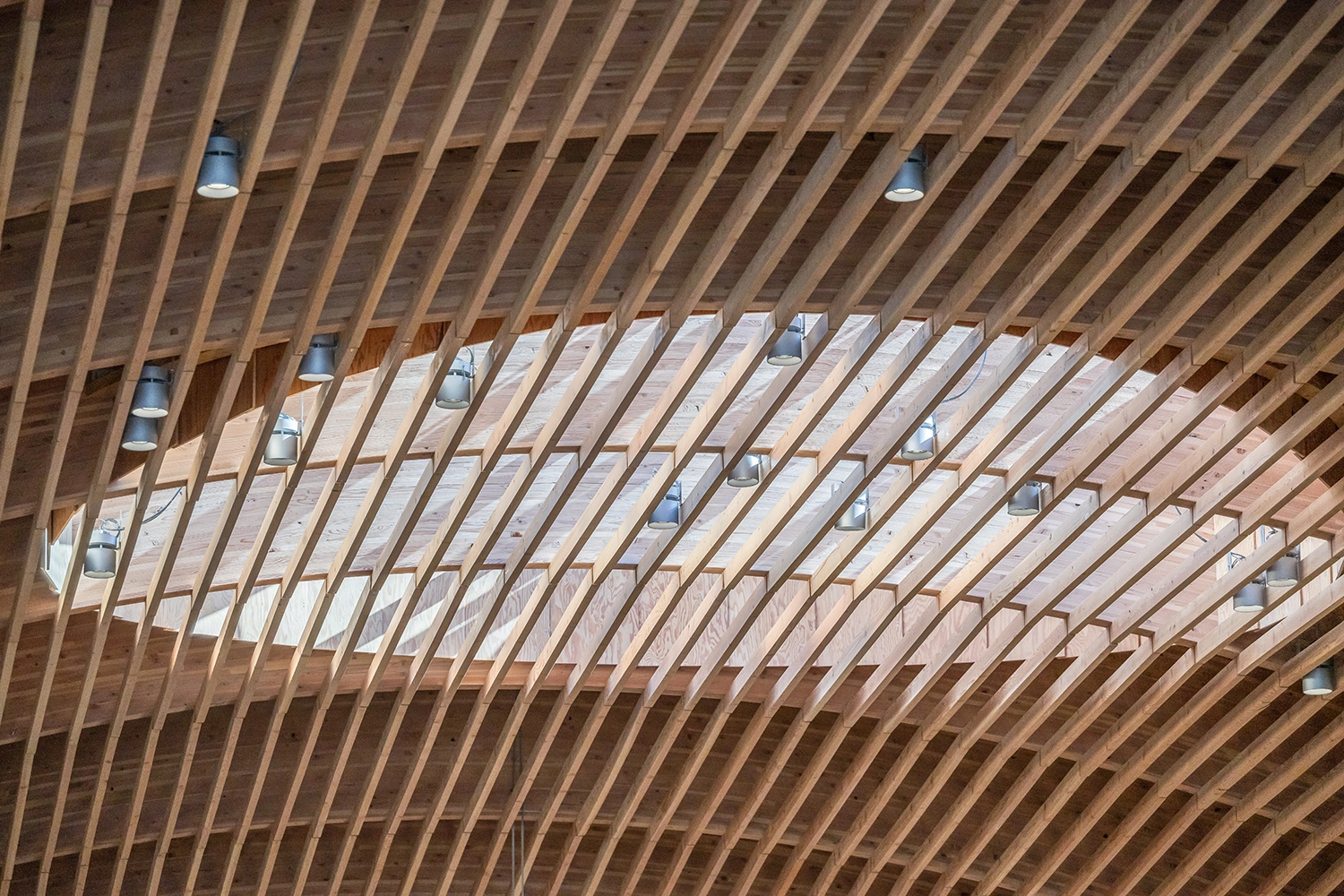 Portland International Airport - Image 5