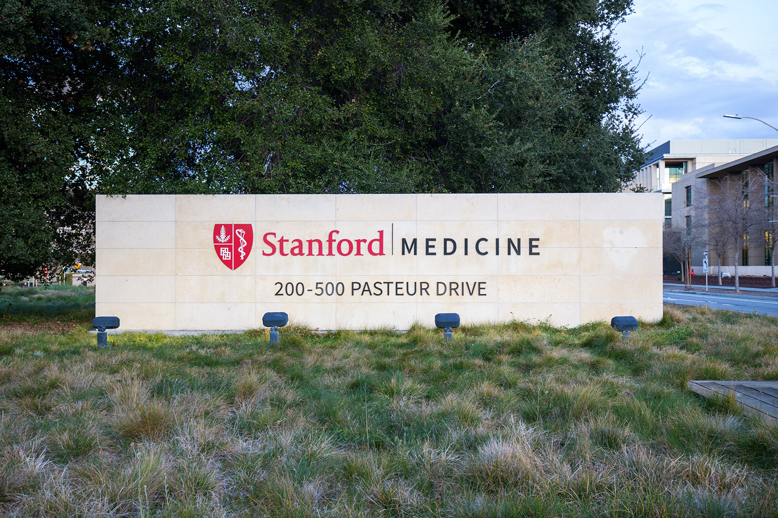 Stanford University, School of Medicine