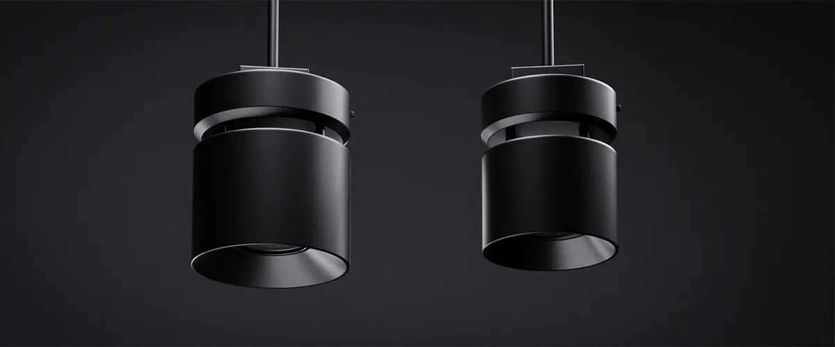 <p>Dual-Chamber Form</p>