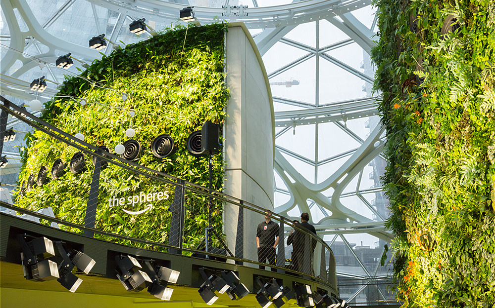 Amazon Spheres 