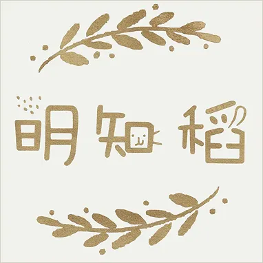 明知稻